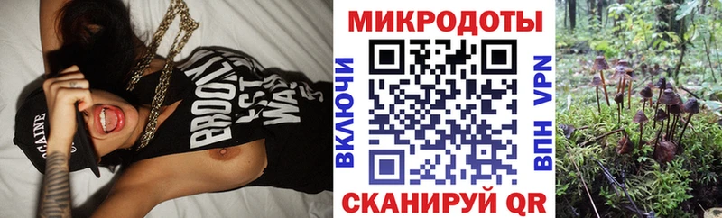 Псилоцибиновые грибы Magic Shrooms  Павловский Посад 