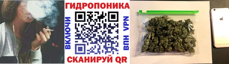 Бошки марихуана планчик  Павловский Посад 